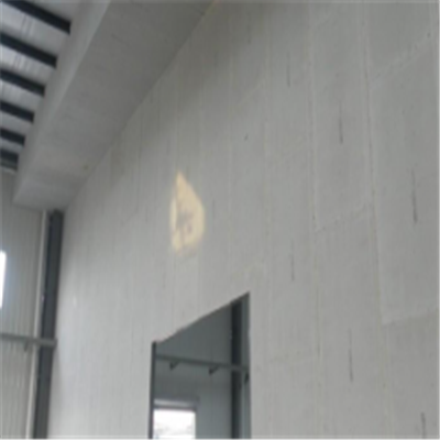 赫山新型建筑材料掺多种工业废渣的ALC|ACC|FPS模块板材轻质隔墙板